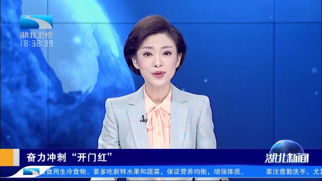 湖北新能源汽车产业跑出“锂”想加速度