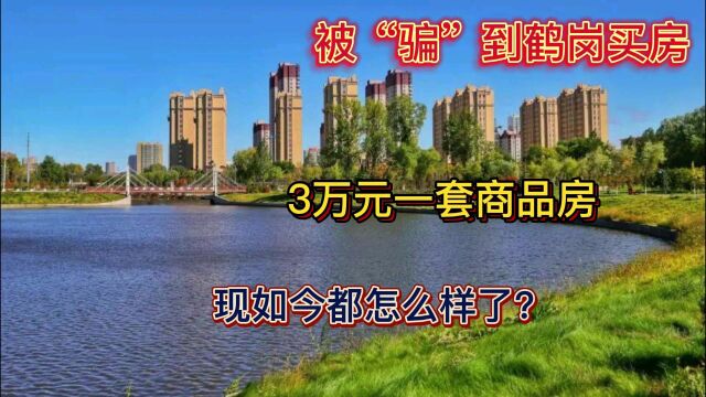 那些被“骗”到鹤岗3万元买一套房的年轻人,现如今都怎么样了?