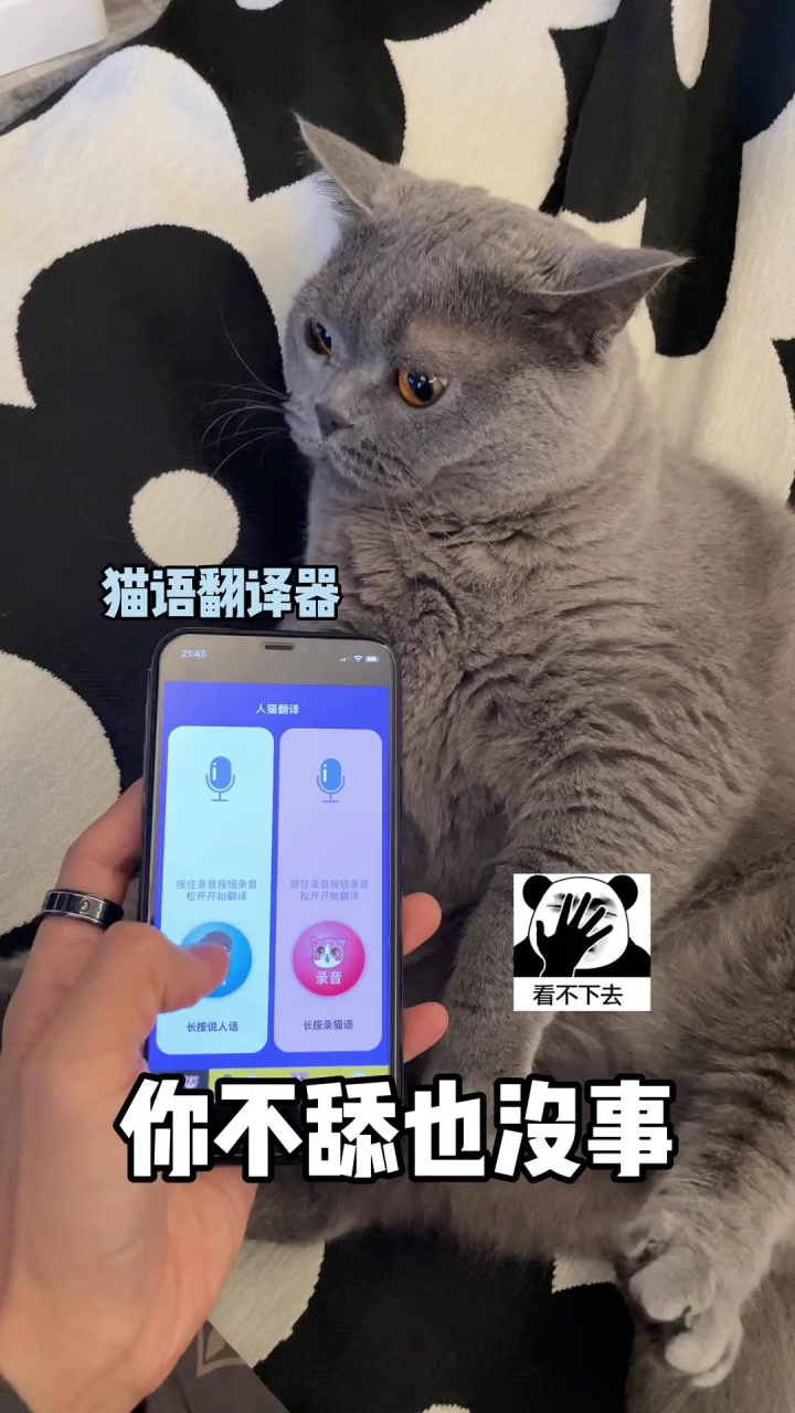 听说被猫咬只要给他用"猫语翻译器"他就不敢了(三)