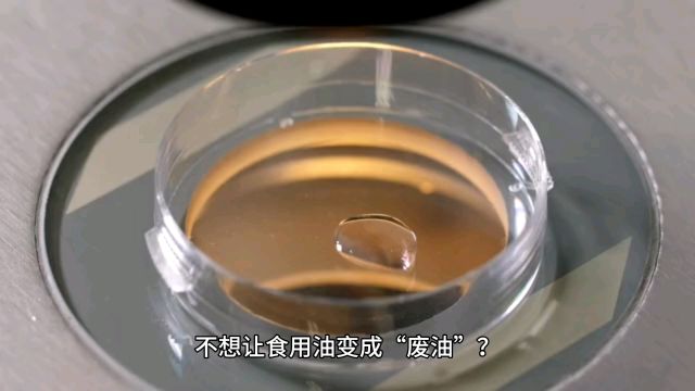 不想让食用油变成“废油”?正确储存食用油的4个方法