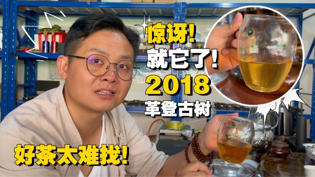 好茶难找,好的老茶更难找!这款2018年的革登古树老高连连称赞!