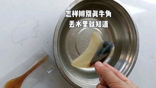 辨别真牛角小窍门,非常实用.