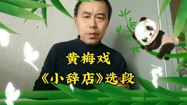 黄梅戏《小辞店》世间上无有酒不成正席,江西网红,民间艺人老乐