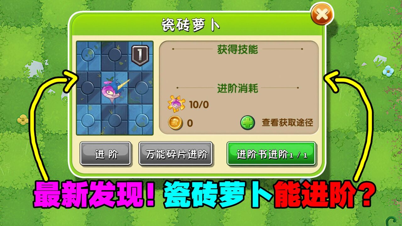 pvz资讯:瓷砖萝卜要开放2阶了吗?有人可以进阶了!