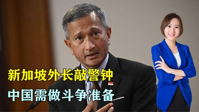 新加坡外长敲警钟:全球和平红利期结束