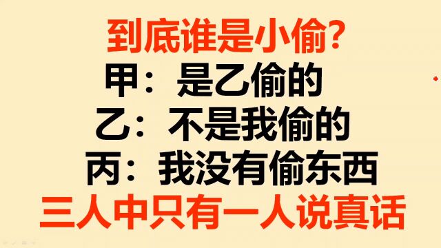 三年级逻辑推理:到底谁是小偷?你能判断吗?