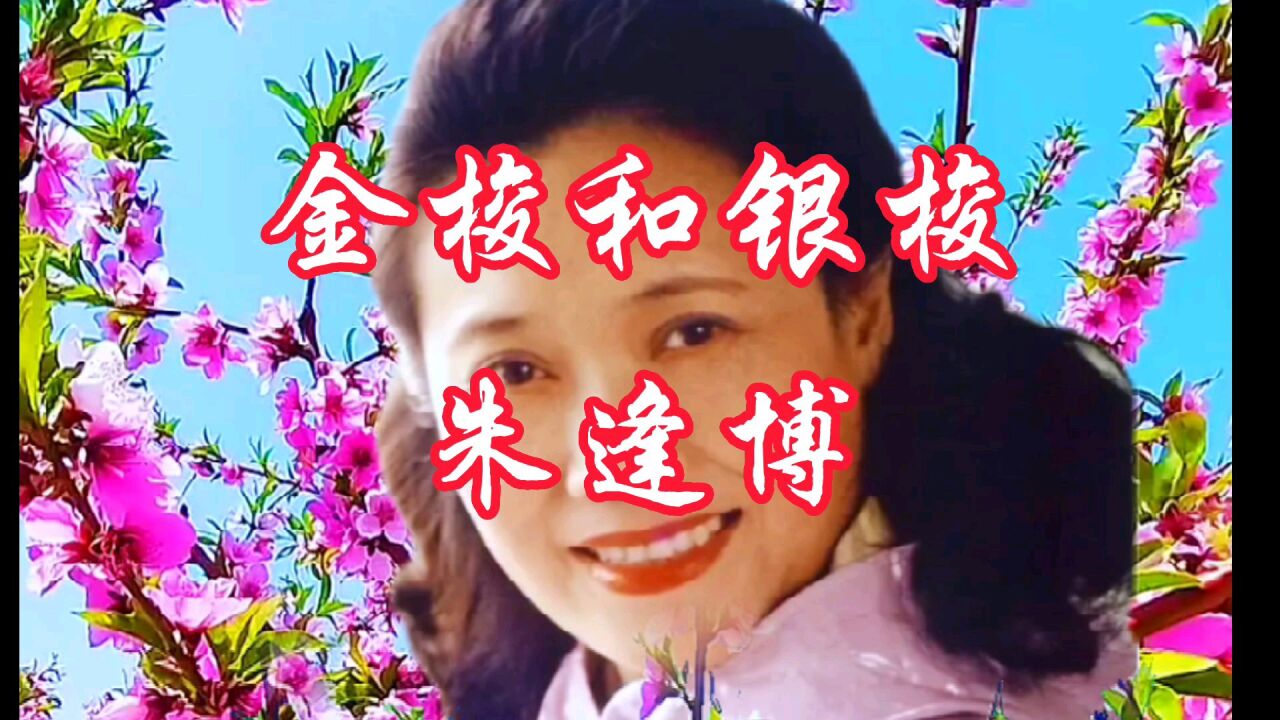 《金梭和银梭》是一首二十世纪八十年代初广泛传唱的劝勉人们珍惜时光