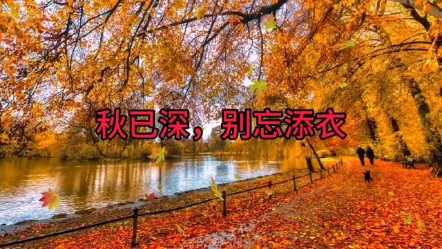 散文:秋已深,别忘添衣.作者:西子