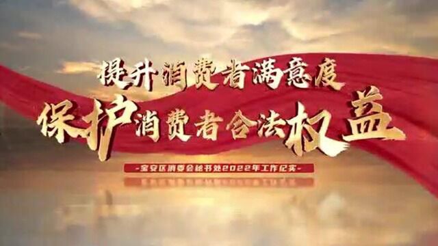 提升消费者满意度 保护消费者合法权益2022年宝安区消委会工作纪实