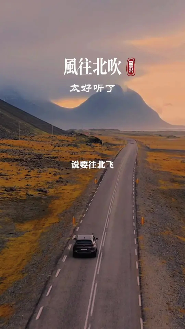 总有那么一首歌,让你想起一段往事… #音乐 #风往北吹 #经典老歌