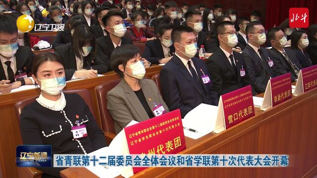 省青联第十二届委员会全体会议和省学联第十次代表大会开幕