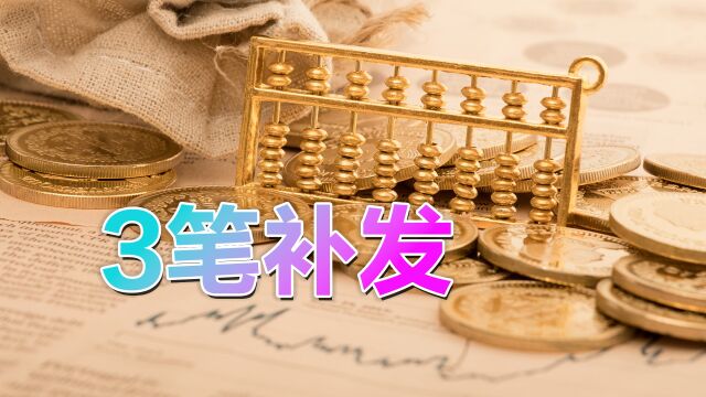 2023年机关事业单位的退休中人,能领到这几笔钱,你都知道吗?