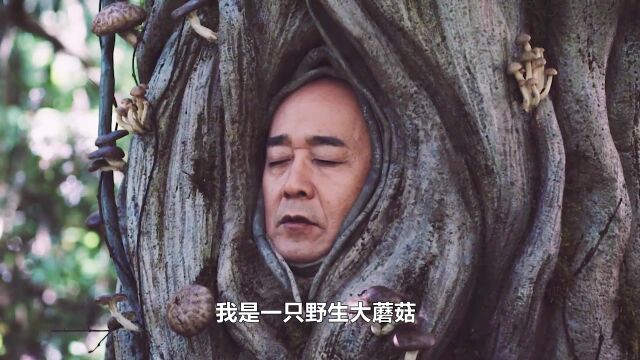 一颗大蘑菇,奇幻电影