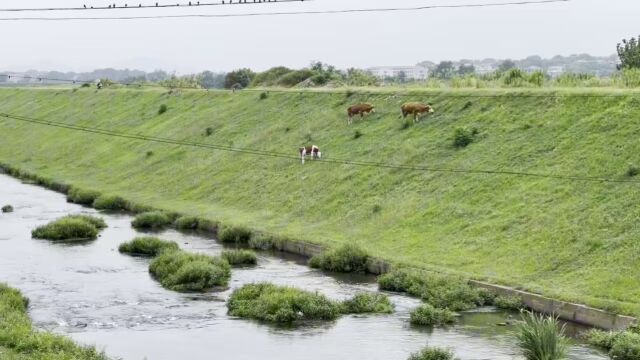 【风远行骑天下】上高县镜山森林公园——高安市瑞阳湖湿地公园