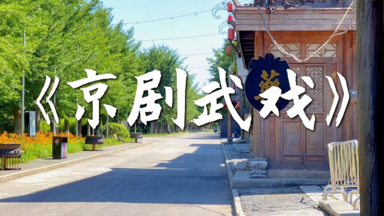 电影安国夫人片场日记第六集来啦,邀您欣赏令人惊艳的京剧武戏表演!_高清1080P在线观看平台_腾讯视频