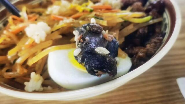 华北理工食堂吃出疑似鼠头异物?学校公告:解除中标餐饮公司合同