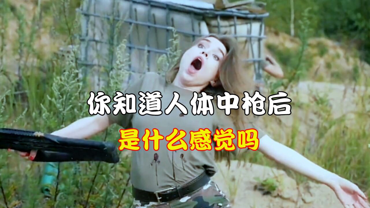 你知道人体中枪后,是什么感觉吗?结果超乎你的想象_高清1080P在线观看平台_腾讯视频