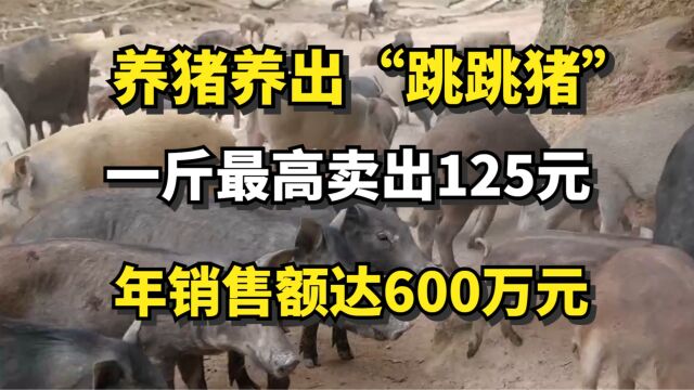 男子养出“跳跳猪”,一斤猪肉最高卖出125元,年销售额达600万元!