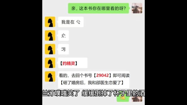 《砸了婚房后,我和邵医生恋爱了》兰汀邵季朗全集在线阅读整篇