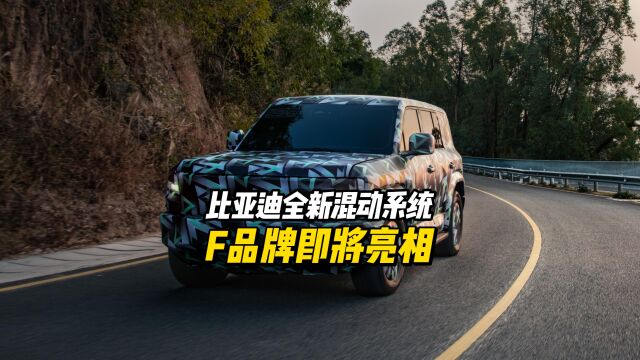 全新混动系统、全新平台加持,比亚迪 F品牌有点东西