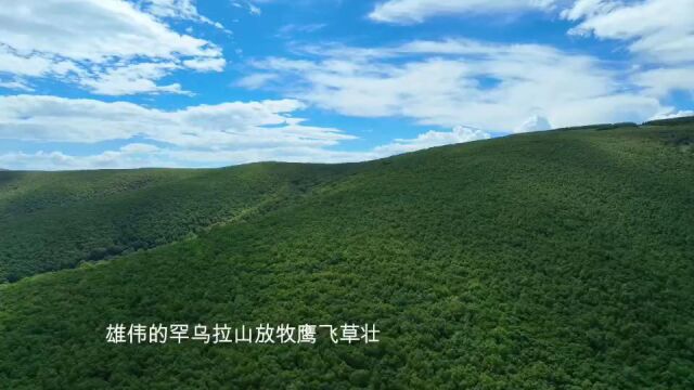 阿鲁科尔沁我热恋的故乡 作词 史文达 作曲姜中山 演唱 全锁 陶格苏