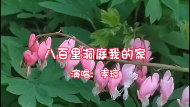 李琼演唱的歌曲《八百里洞庭我的家》,请欣赏