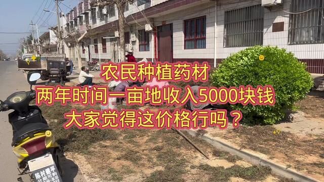 农民种植药材,两年时间一亩地收入5000块钱,大家觉得这价格行吗?#关注三农服务百姓 #一份耕耘一份收获 #中药材种植基地