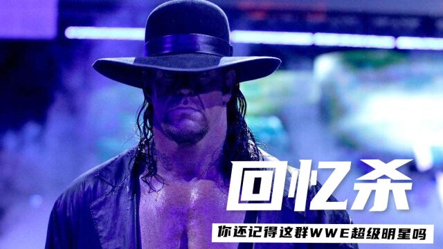 【回忆杀】当十年后,你的儿子问你WWE是什么的时候