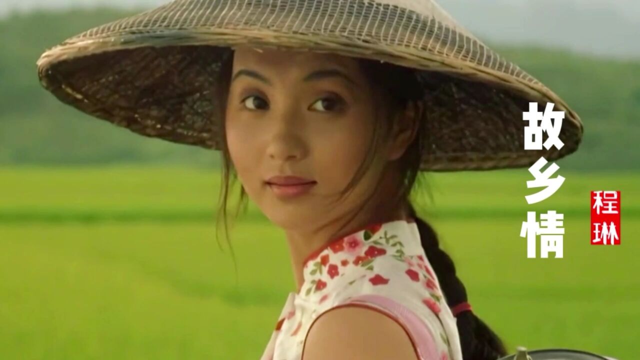 程琳经典歌曲《故乡情》,甜美悠扬的歌声,听一次醉一次