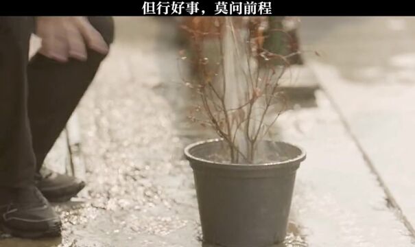 程响故事终章 但行好事,莫问前程#治愈#短片