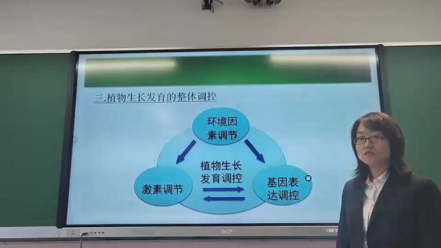 《稳态与调节》5.4环境因素参与调节植物生命活动讷河市第一中学张丽佳