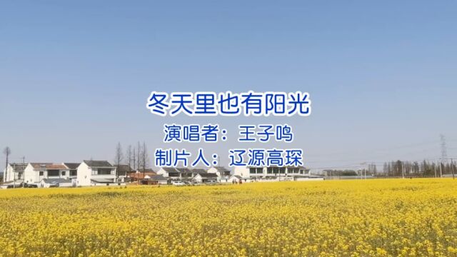 王子鸣的单曲《冬天里也有阳光》