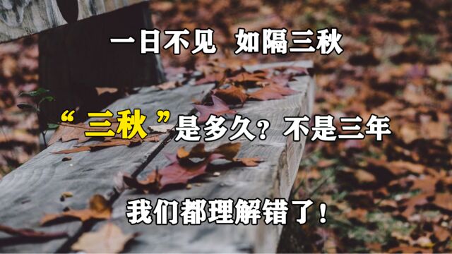 一日不见,如隔三秋,“三秋”是多久?不是三年,我们都理解错了!