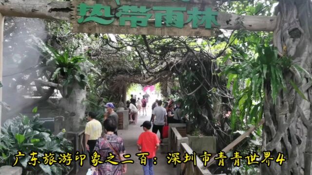 广东旅游印象之二百:深圳市青青世界4