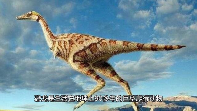 冷知识:关于恐龙的冷知识你知道吗?