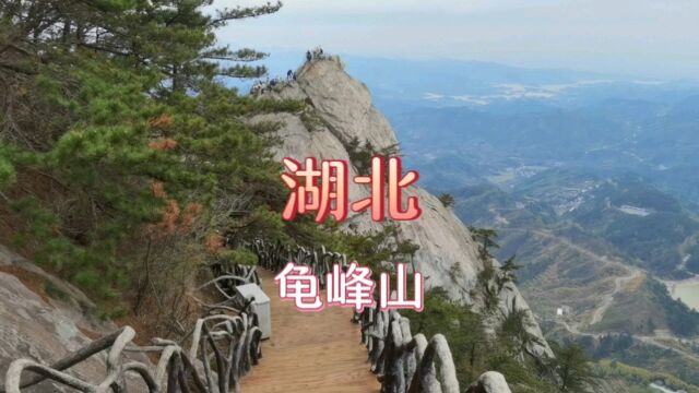 人间四月天,去湖北麻城龟峰山看杜鹃花海,在古森林中漫步!