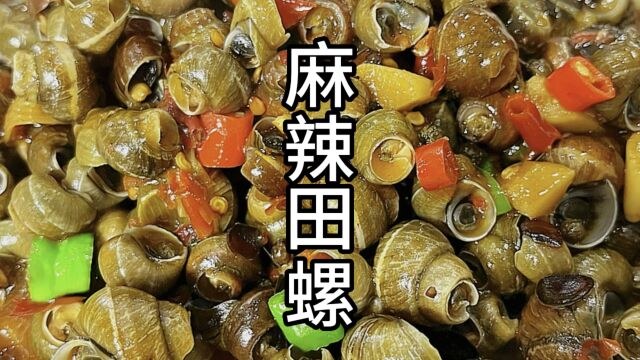 麻辣田螺 麻辣过瘾 入味好吃 千万别错过