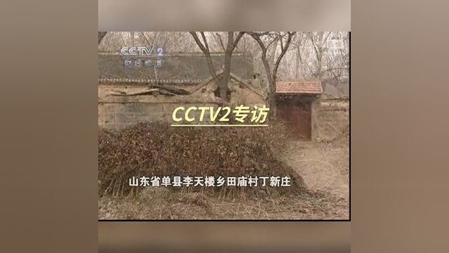 山东省菏泽市单县李田楼镇,鹧鸪养殖丁华东.中国中央电视台CCTV2专访视频. #美国鹧鸪石鸡嘎啦鸡养殖