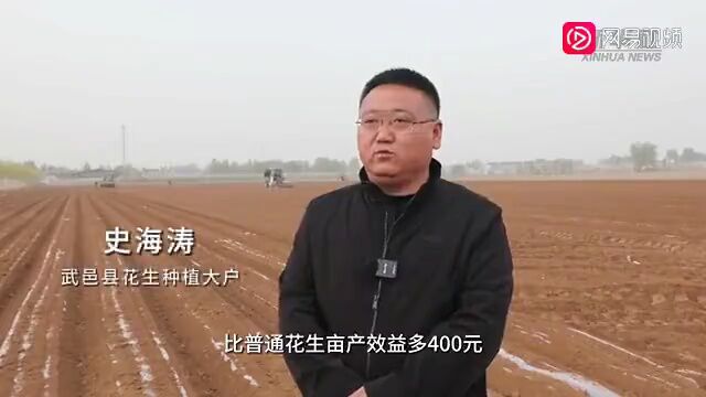 河北武邑:两万亩高油酸花生 种下丰收新希望