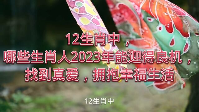 12生肖中,哪些生肖人2023年能迎得良机,找到真爱,拥抱幸福生活