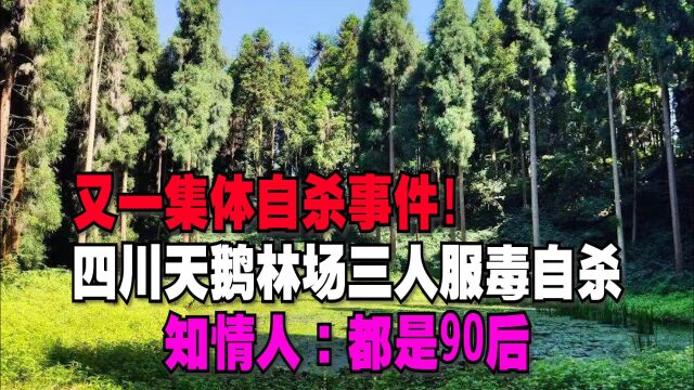 又一集体自杀事件!四川天鹅林场三人服毒自杀,知情人都是90后