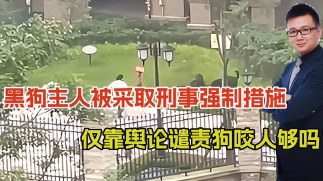 伤人黑狗主人已到案!除了舆论谴责,我们司法的“短板”如何补?