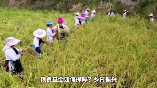 40多年过去,大包干与大集体其实早已经分出了高下,大家觉得呢?