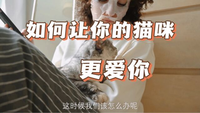 如何让你的猫咪更爱你