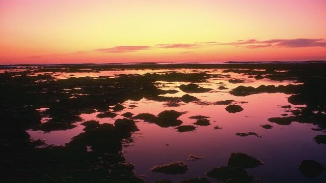 治愈系风景