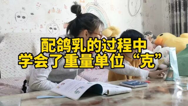 孵化鸽子(十)——最后的努力配置鸽乳