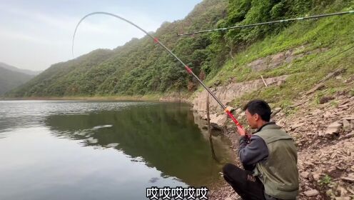 二毛荒野钓鱼第65天白天没口就夜钓小有收获上鲤鱼_高清1080P在线观看平台_腾讯视频