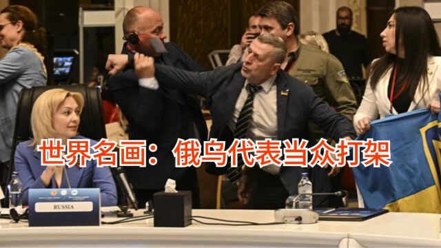 不愧是战斗民族,俄罗斯乌克兰代表在国际会议上抢国旗打架