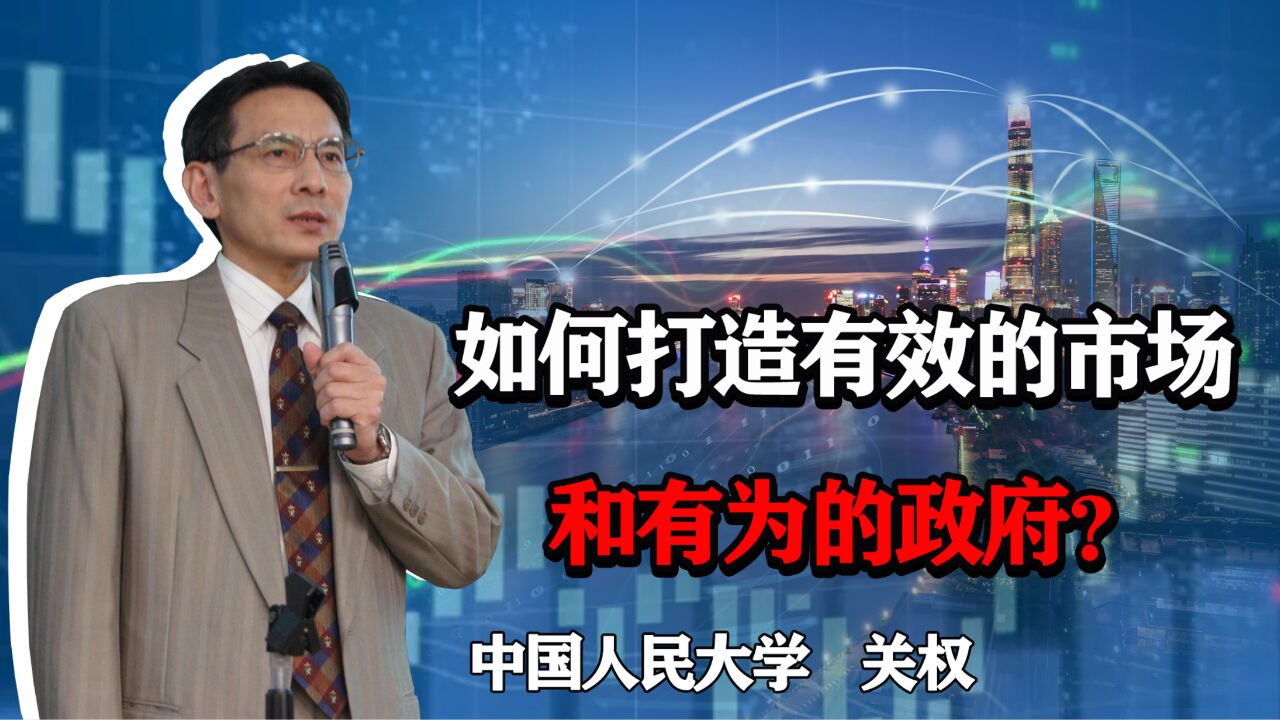 什么是有效的市场和有为的政府?在经济发展中应扮演什么角色?