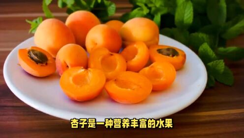 杏子：熟知的水果，可直接食用可用来制作果酱、饮料等